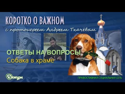 Собака в храме о. Андрей Ткачев