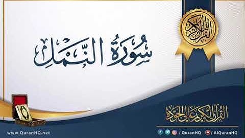 تلاوة سورة النمل الشيخ عمرو شريف الحويني