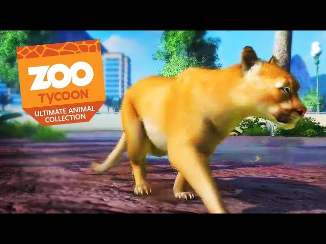 Zoo Tycoon will let you help real-life animals - Polygon