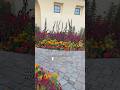 Garden bed before &amp; after