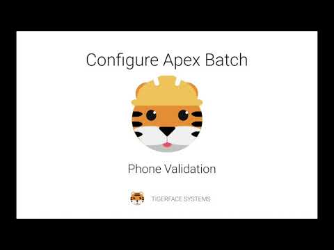 Phone Validation - Batch