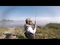 Pesca de carpas con masa. Barra Santa Lucía