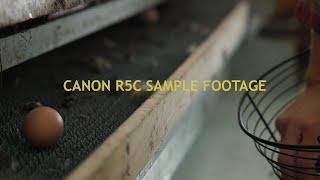 Canon R5C footage