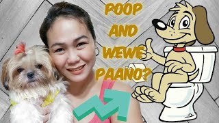 PAANO TURUAN ANG ASO MAG POOP AT WEWE SA TAMANG  LUGAR + SHIHTZU FUNNIEST VIDEO