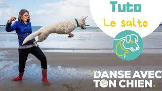 Apprendre le salto à son chien avec une méthode simple et positive #dogdancing