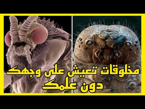 تعرف على البكتيريا التي تعيش على جسم الانسان