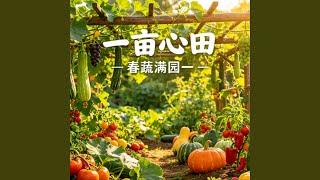 Download Lagu 田园童声·茼蒿