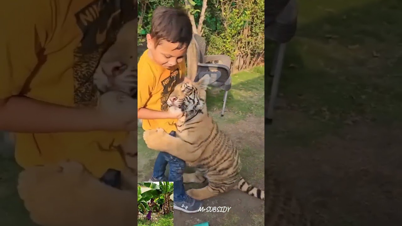 Heart-Stopping Moments. 