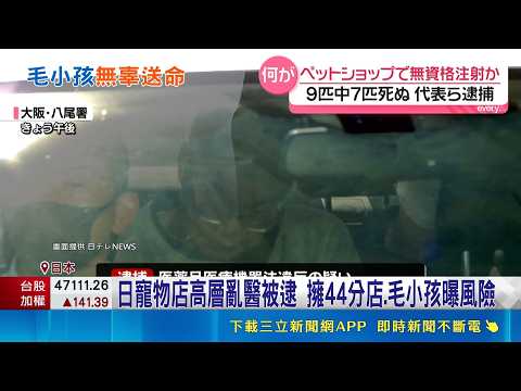 Unlicensed Staff Used to Cut Costs: Japan Pet Shop Chain Under Investigation After 7 Deaths | SET...