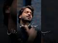 new noha #yaalimadad #imaamhussain #bibifatima #yahussain #status #reel #reel #status #viralvideo