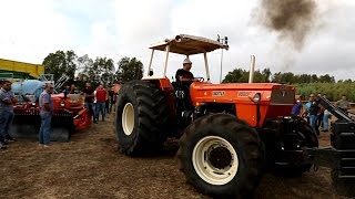 Arborea 7^ Tractor Drag 2016