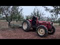 Pasada de cuchilla en Almendras Chirlata