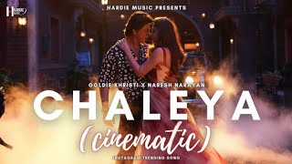 Chaleya (Cinematic) | Female Version | Goldie Khristi | Instagram Trending Song | Hardie Music