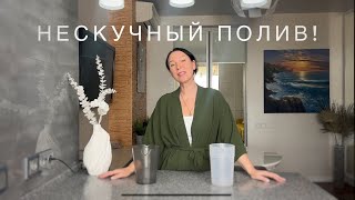 Нескучный ПОЛИВ и БЛОГЕРЫ, которых я люблю смотреть 😀немного картин, коряг и собаки