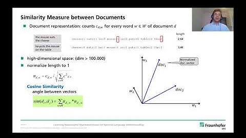 Learning meaningful representations for natural language understanding giesselbach