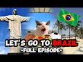 Cat memes family vacation compilation to brazil  extra scenes