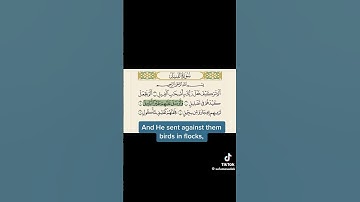 سورة الفيل Surah Al-Fil (The Elephant)