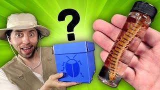 Compre Una Caja Misteriosa Con Insectos Preservados