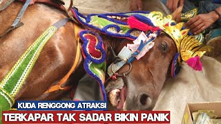 Kuda renggong atraksi - Atraksi kuda renggong di kampung toga