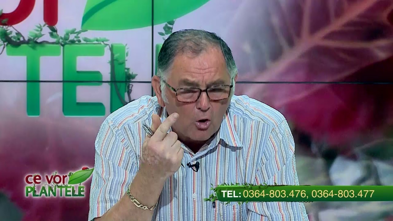 VIDEO Dr. Ing Horia Ghibu - Cu ce este bine să stropim strugurii 1 VIDEO Dr. Ing Horia Ghibu - Cu ce este bine să stropim strugurii YouTube player