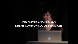 Did Chimps and Humans Inherit Common Social Behaviors? | Anne Pusey