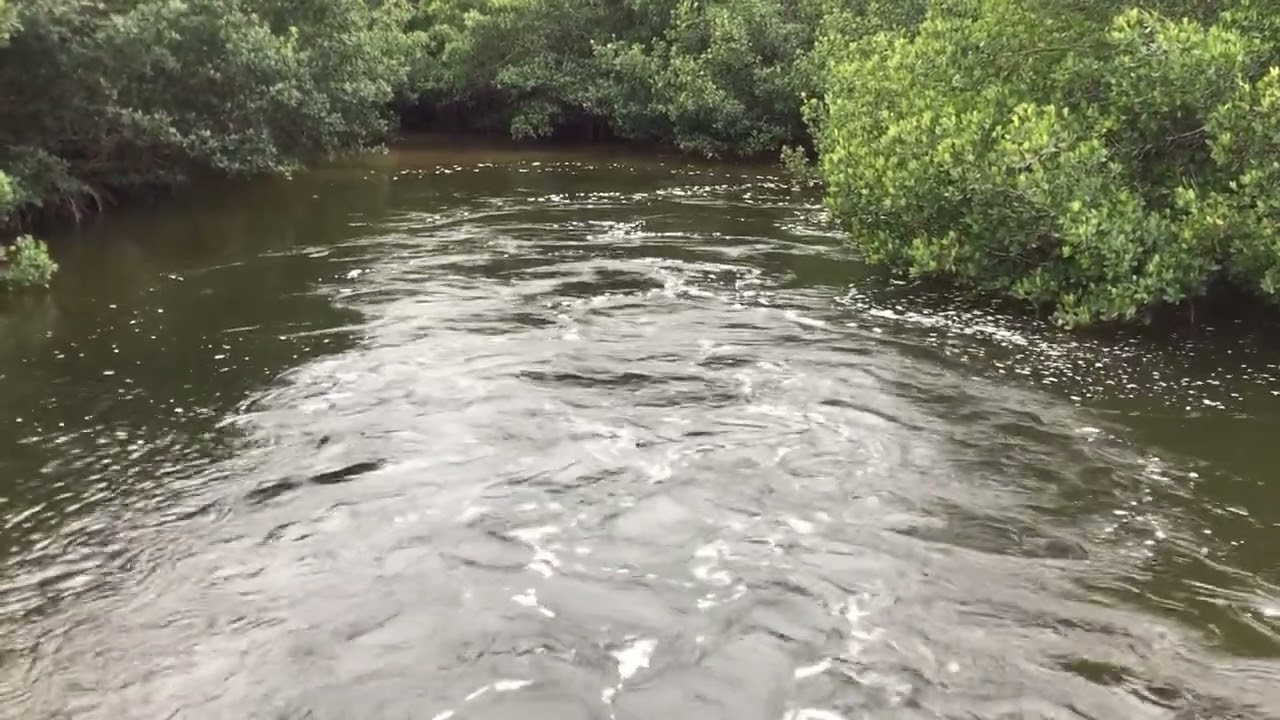 Incoming tide moment of zen