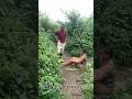 #music #beats #remix #song #flstudio #dance #amapianotv #musicgenre #comedy #musicstyle #shorts #fyp #music #beats #remix #song #flstudio #dance #amapianotv #musicgenre #comedy #musicstyle #shorts #fyp