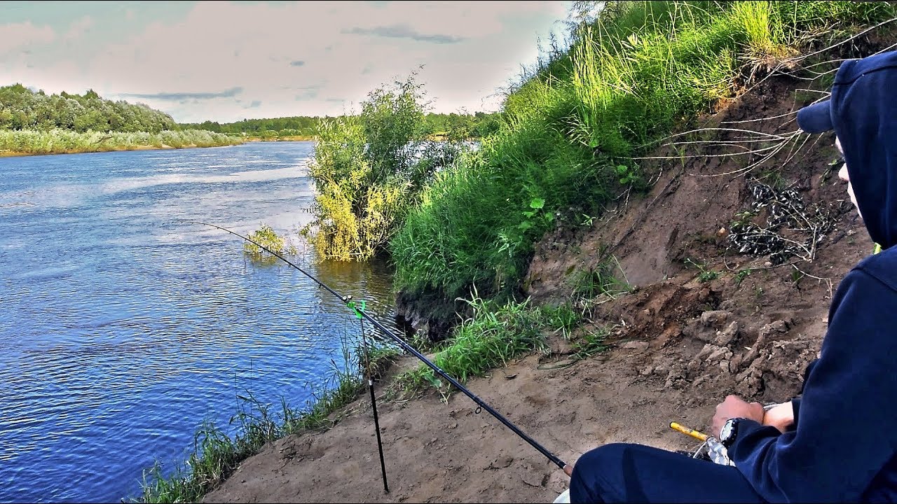 Ловлю на фидер видео. Вечерняя рыбалка. Как правильно выбрать место для рыбалки фидером типа реки Вятка.