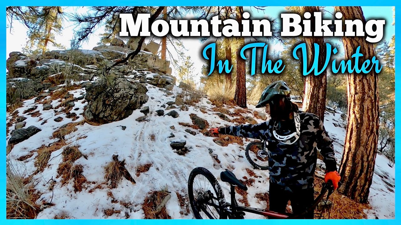 Woodland Trail, Big Bear California - Mountain Biking In The 