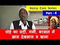 जान लो घोड़े का सर्दी, गर्मी, बरसात में ख़ास देखभाल व खाना - Horse Care In All Seasons - Horse Care