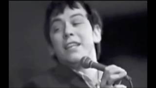 Boom Boom - The Animals - 1965 live