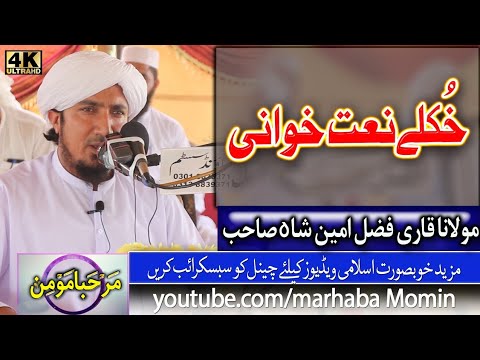 Qari Fazal Amin Shah Khkule Naatkhwani