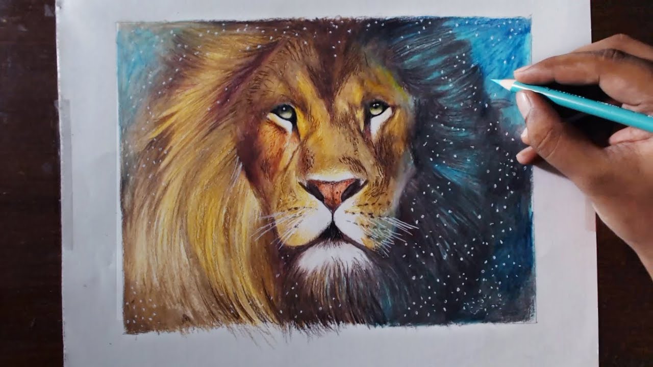 Drawing A Lion (Aslan) - Animal series 3 - Prismacolor pencils - YouTube