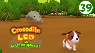 Estuarine Crocodile  Leo The Wildlife Ranger (Episode 39)