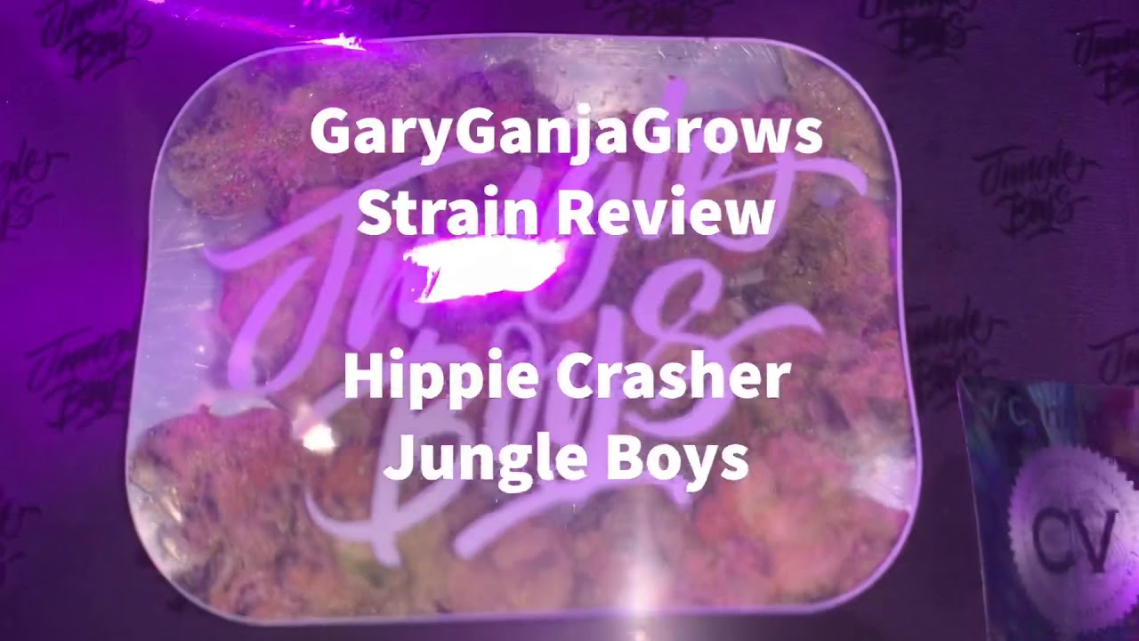 GaryGanjaGrows Strain Review 003: Hippie Crasher from Jungle Boys