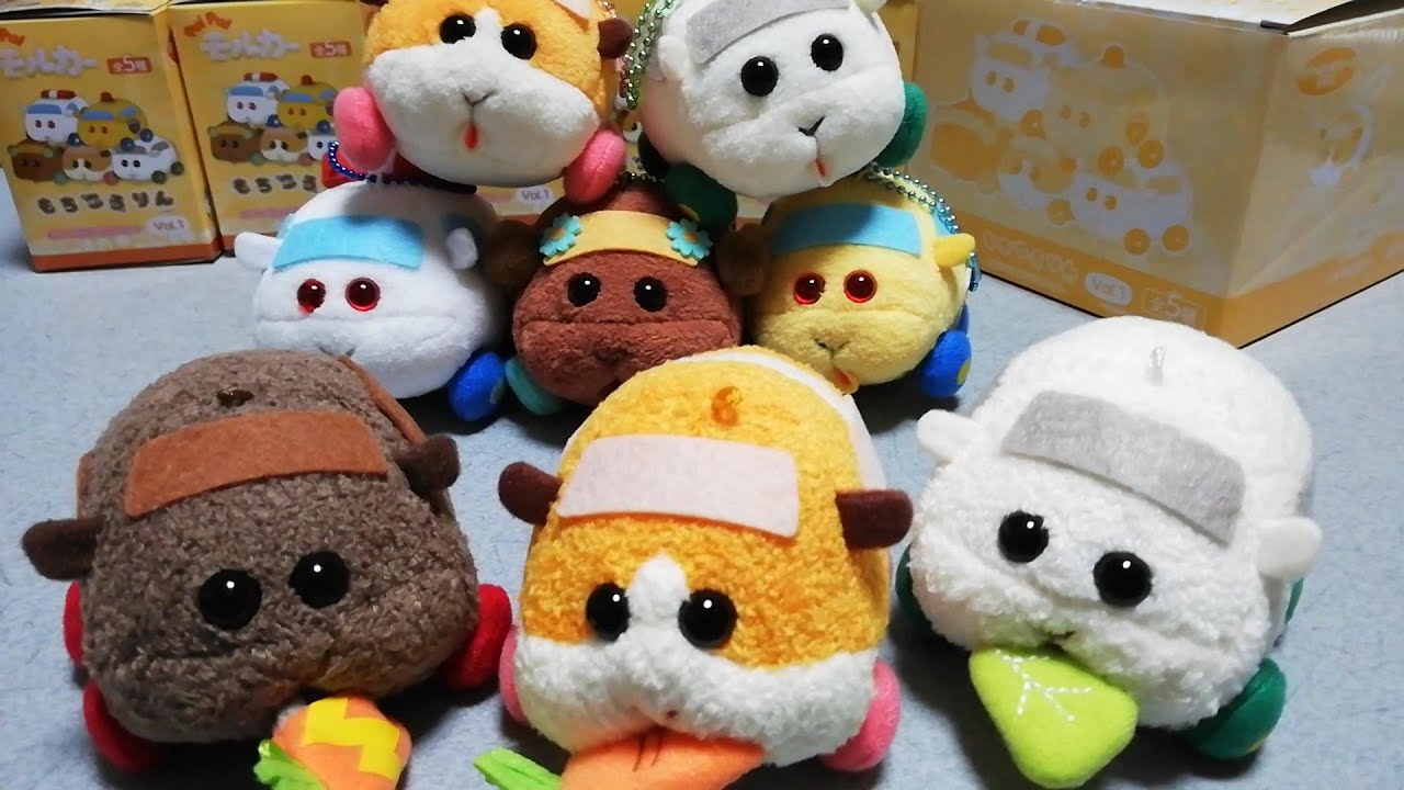 Pui Pui モルカーが我が家にやってきた もちころりん ぶるぶるず プイプイモルカー Youtube