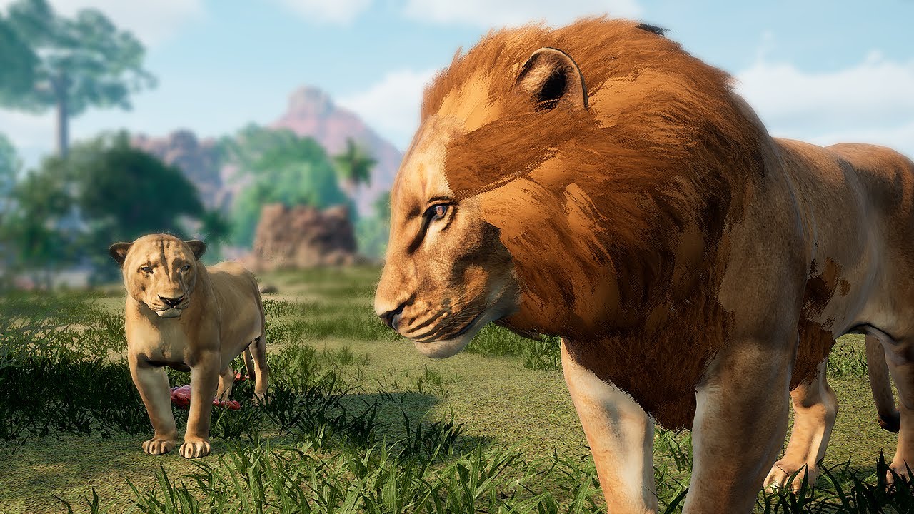 Leão - Família de Leões Preguiçosa, Nossa Leoa tem que Caçar Sozinha - Animalia Survival 🦁