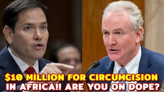 Fed Up Marco Rubio DESTROYS Smug Dem Senator — Exposes the LEFT’s Hypocrisy In Front Of Congress 