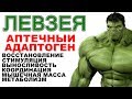 Левзея (Maral Root) ПОЛЬЗА ВРЕД СОВЕТЫ (Russian Leuzea)Side Effects Interactions Dosage