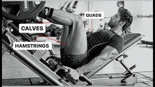 How to train Legs | Ultimate leg day burn : Quads, Hamstrings and Calves Workout!!