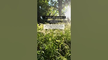 سورة الغاشية عبدالرحمن مسعد حالات واتس