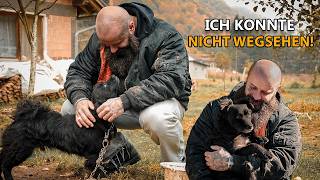 ICH KONNTE NICHT WEGSEHEN! – Er war jahrelang angekettet…
