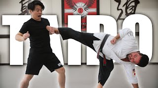 This Martial Art System Has CRAZY Kicks!!