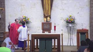 Monday Afternoon Mass, 12:15pm 06-29-2026