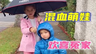 【中外家庭】在爱尔兰的欢乐日常,俩娃上蹿下跳