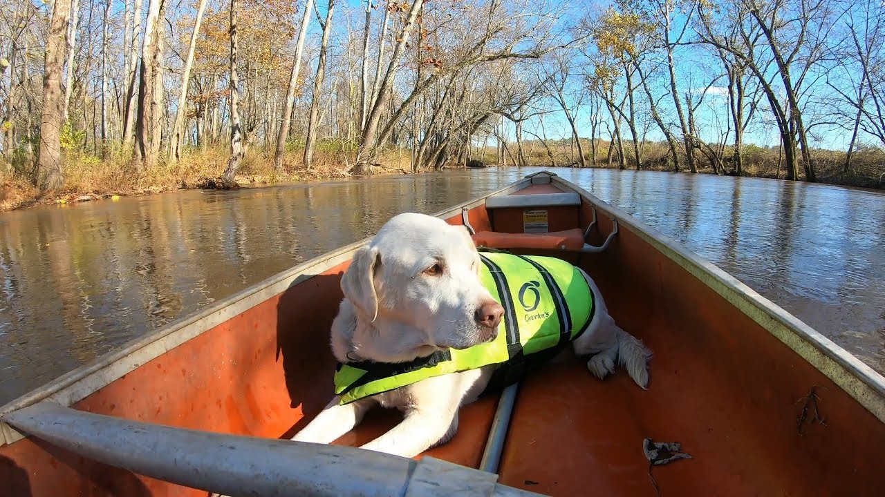 boat-trip