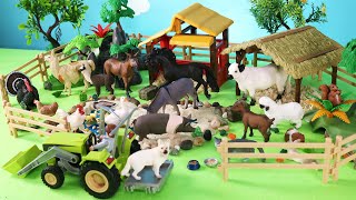 Fun Farm Diorama and Animal Figurines - Learn Animal Names