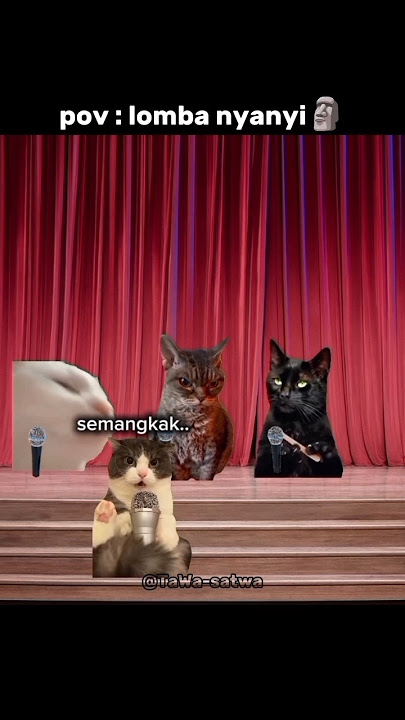 I brought chicken..😈🗿 #memes #funny #cat #laughing #song #cat #cute #joke #catlovers