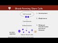 Blood-Forming Stem Cells with Irving Weissman