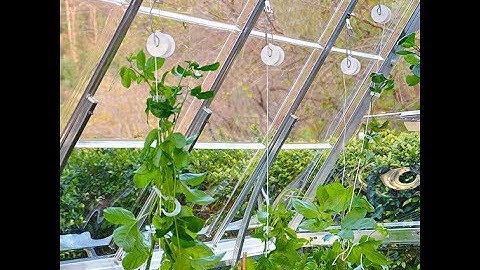 This Method Tying Up Tomatoes Will Change Your Life - Trellising Kit